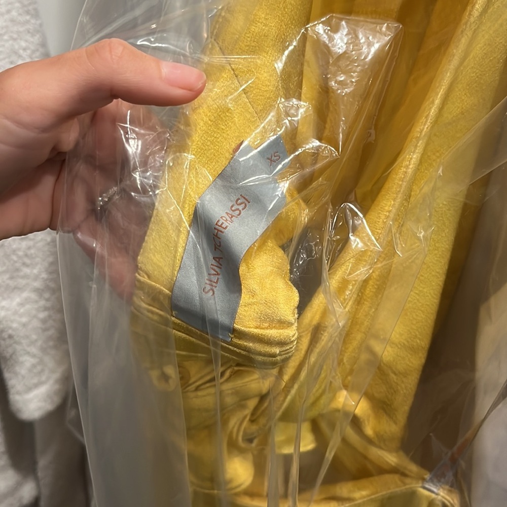 Silvia Tcherassi Silk Yellow Camila Gown XS - Absolutely stunning gown!! - Picture 7 of 9